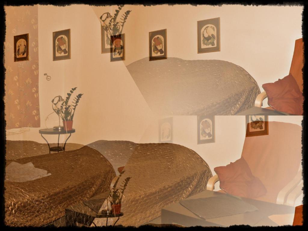Apartamenty I Studia Herbarium *