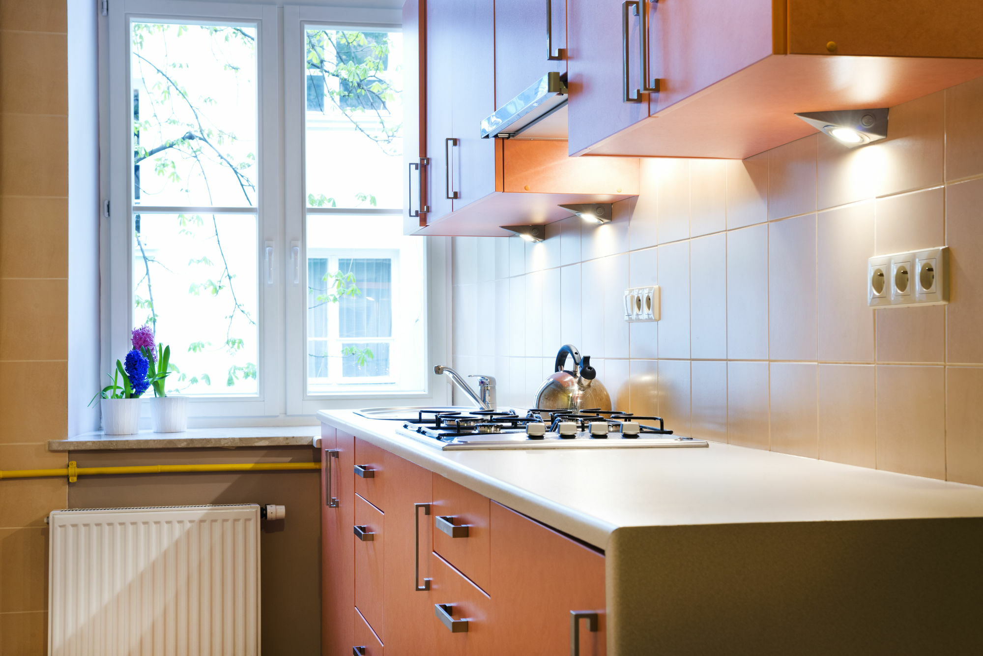 Apartamenty I Studia Herbarium